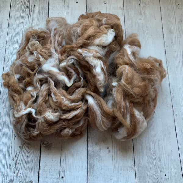 4oz. Raw Alpaca Fleece 2nd Cut Medium Fawn -  Canada